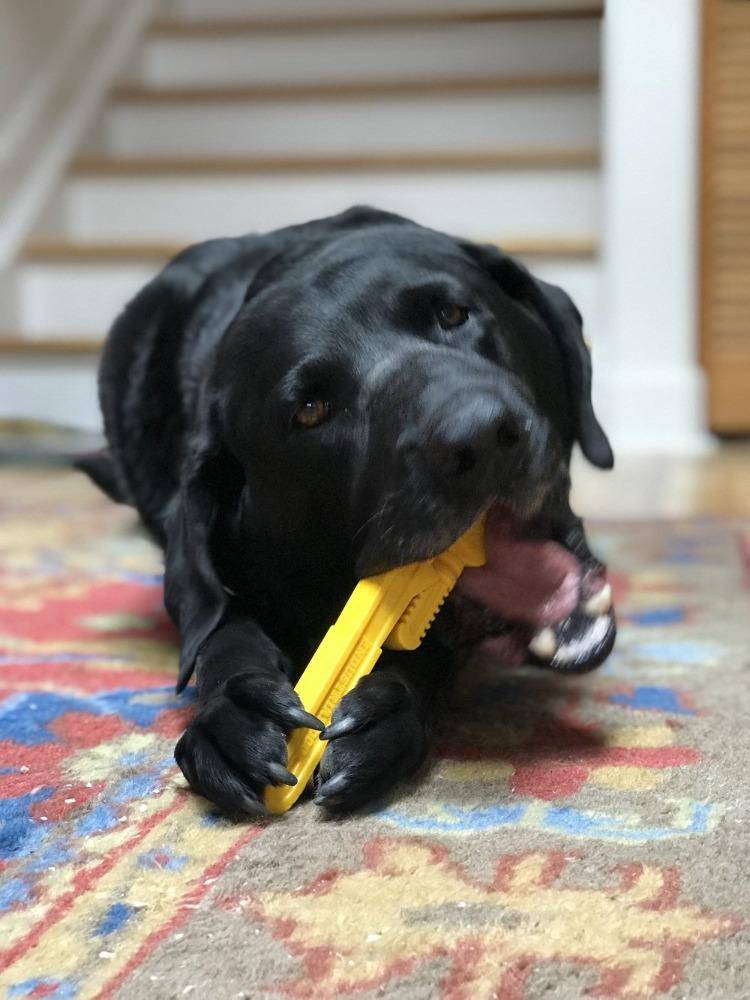 Pipe Wrench Nylon Dog Toy for Aggressive Chewers | USA Made | SodaPup - Elite Pet Collective
