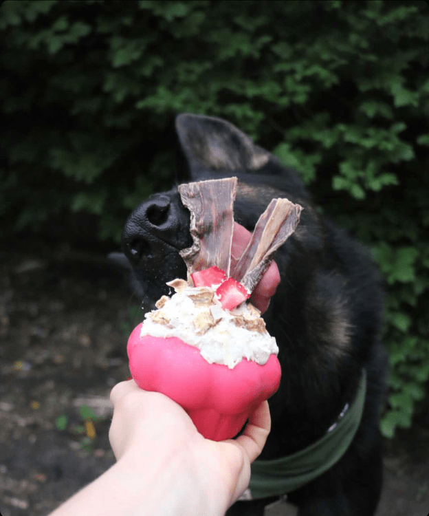 Cupcake eDispenser - Durable Rubber Chew Toy & Treat Dispenser | USA Made - Elite Pet Collective