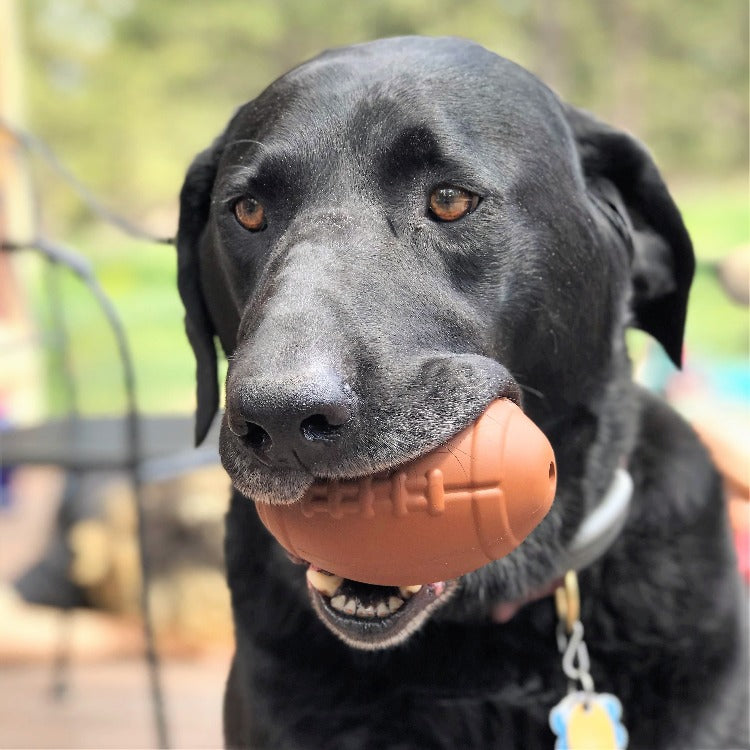 Football Dog Chew Toy & Treat Dispenser - USA Made | SodaPup - Elite Pet Collective