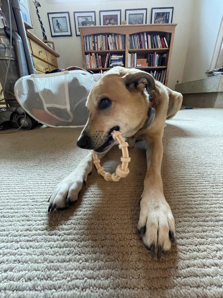Chicken Flavored Teething Ring for Puppies & Aggressive Chewers | USA Made - Elite Pet Collective