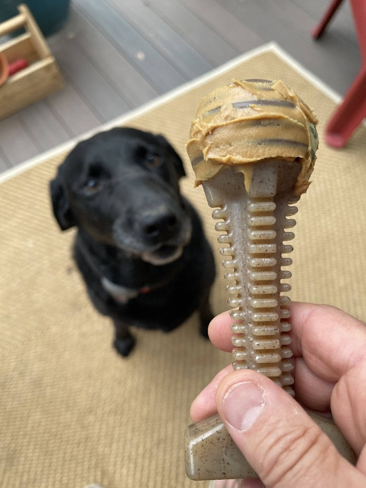 Honey Bone Dental Tower Nylon Chew Toy for Aggressive Chewers | USA Made - Elite Pet Collective