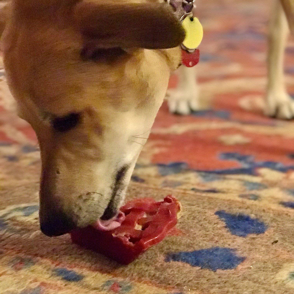 Cherry Pie Nylon Dog Chew Toy for Aggressive Chewers | USA Made | SodaPup - Elite Pet Collective