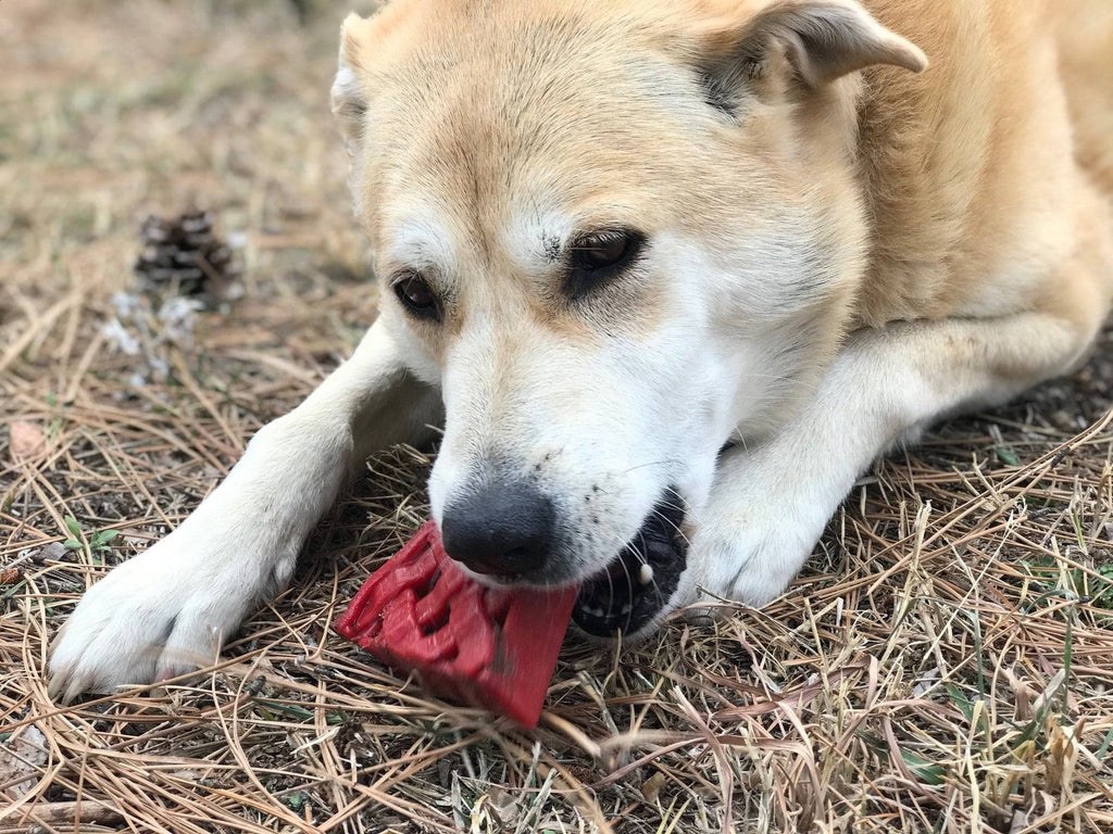 Cherry Pie Nylon Dog Chew Toy for Aggressive Chewers | USA Made | SodaPup - Elite Pet Collective