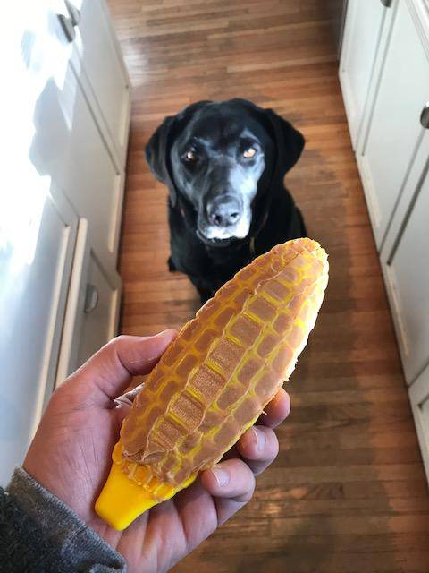 Corn on the Cob Nylon Dog Toy for Aggressive Chewers | USA Made | SodaPup - Elite Pet Collective