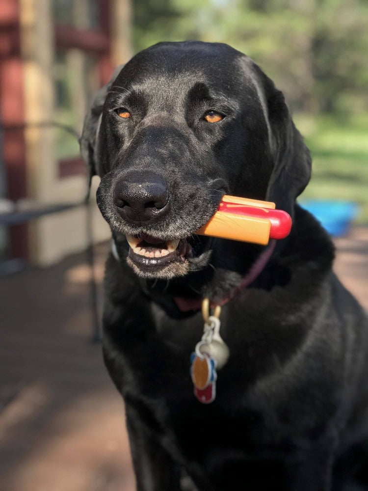 Hot Dog Nylon Dog Toy for Aggressive Chewers | USA Made | SodaPup - Elite Pet Collective
