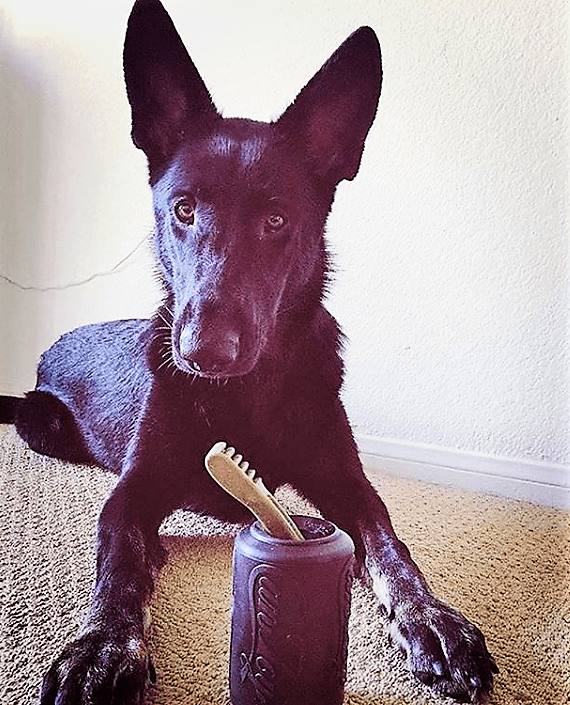 Magnum Can Toy Rubber Dog Chew Toy for Extreme  Chewers | Treat Dispenser | USA Made - Elite Pet Collective