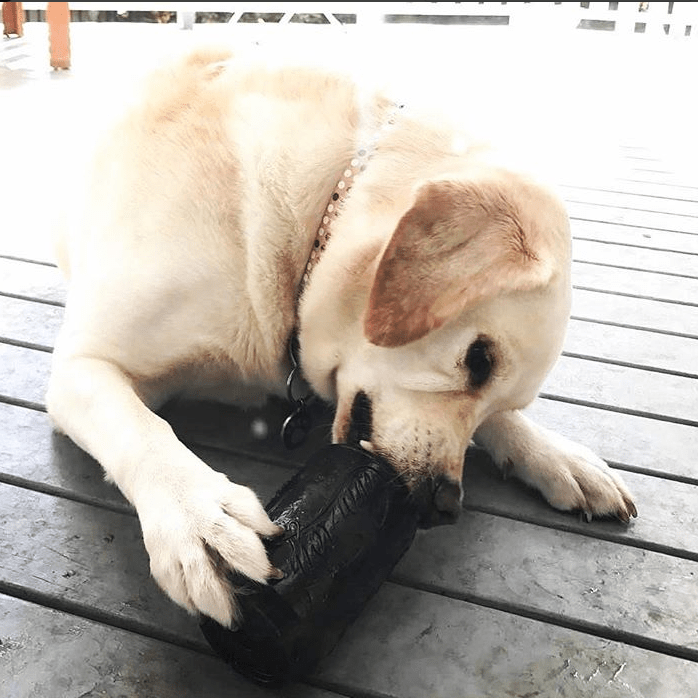 Magnum Can Toy Rubber Dog Chew Toy for Extreme  Chewers | Treat Dispenser | USA Made - Elite Pet Collective