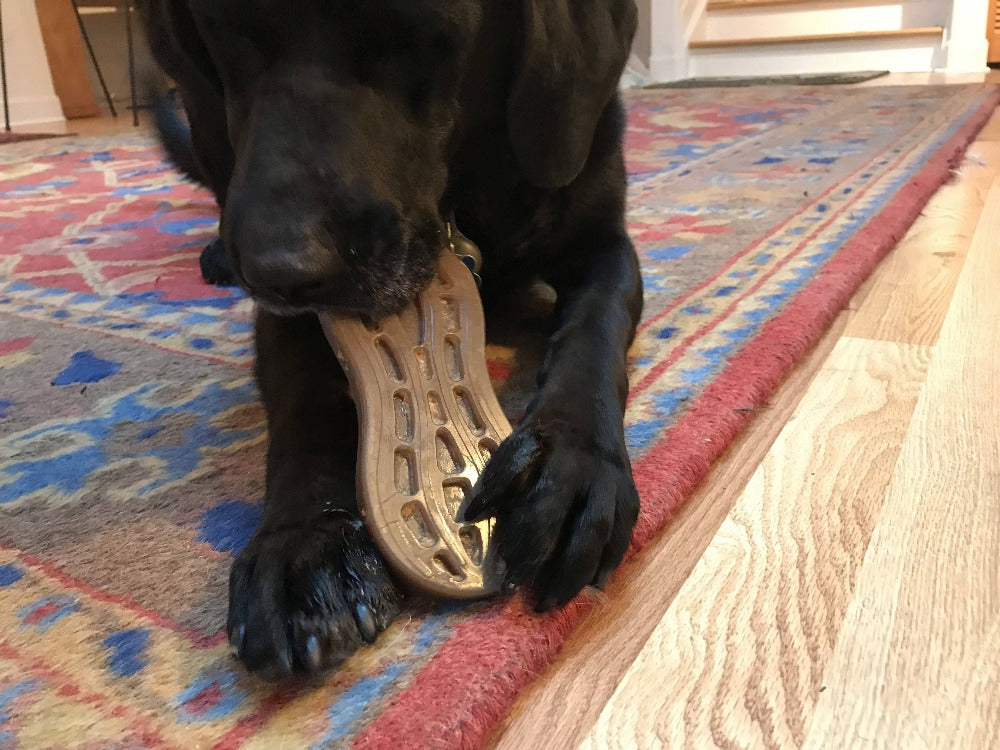 Peanut Nylon Dog Chew Toy | Ultra-Durable for Aggressive Chewers | SodaPup - Elite Pet Collective
