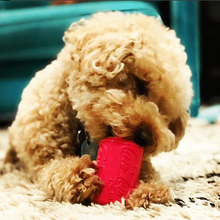 Puppy Can Toy Rubber Chew Toy for Teething Puppies | Treat Dispenser | USA Made - Elite Pet Collective