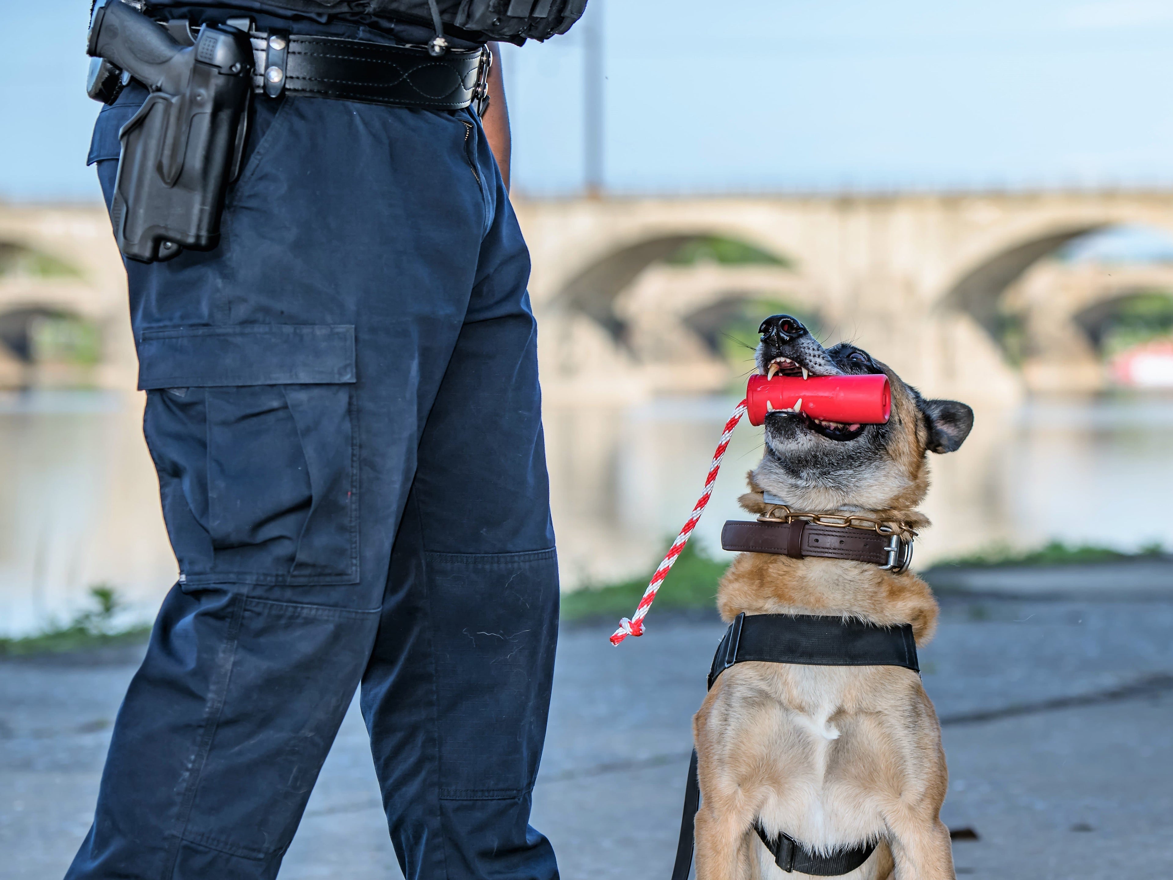 USA-K9 Firecracker Floating Training Dummy | K9 Handler Reward Toy | Red | USA Made - Elite Pet Collective