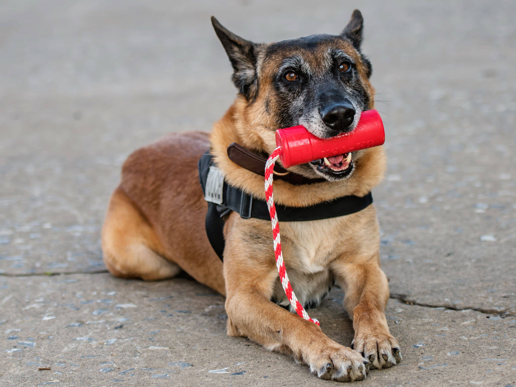 USA-K9 Firecracker Floating Training Dummy | K9 Handler Reward Toy | Red | USA Made - Elite Pet Collective