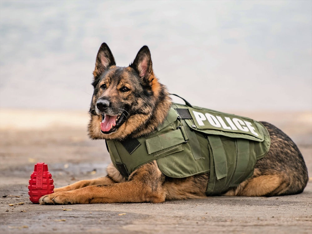 USA-K9 Grenade Shaped eDispenser Durable Dog Chew Toy & Treat Dispenser - Magnum Black - Elite Pet Collective