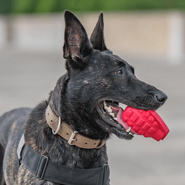 USA-K9 Grenade Shaped eDispenser Durable Dog Chew Toy & Treat Dispenser - Magnum Black - Elite Pet Collective