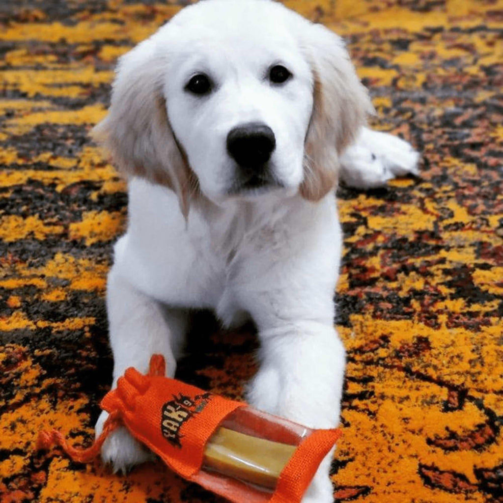 Turmeric Cheese Chews for Dogs - Elite Pet Collective