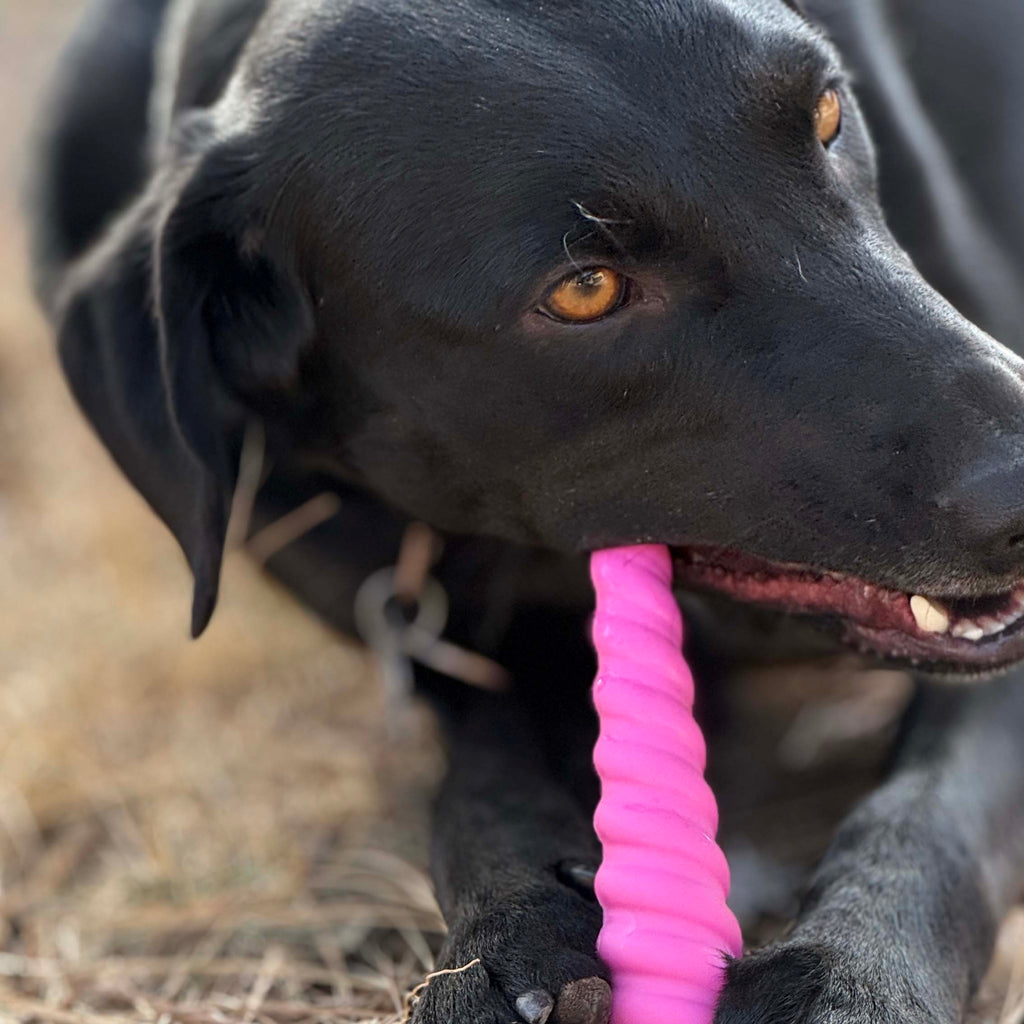Unicorn Horn Nylon Dog Chew Toy | Durable for Aggressive Chewers | SodaPup - Elite Pet Collective